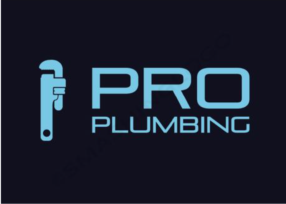 Top Plumbing Services in American Fork